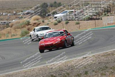 media/May-03-2025-Lucky Dog Racing (Sat) [[206de64b9d]]/Turn 4 B (1150am-130pm)/